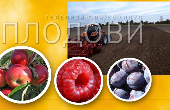 Plodovi 342 - 7. novembar 2021.