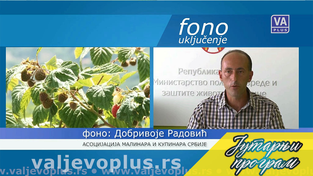 Jutarnji program - Zoran Jakovljević - 19. april 2022.