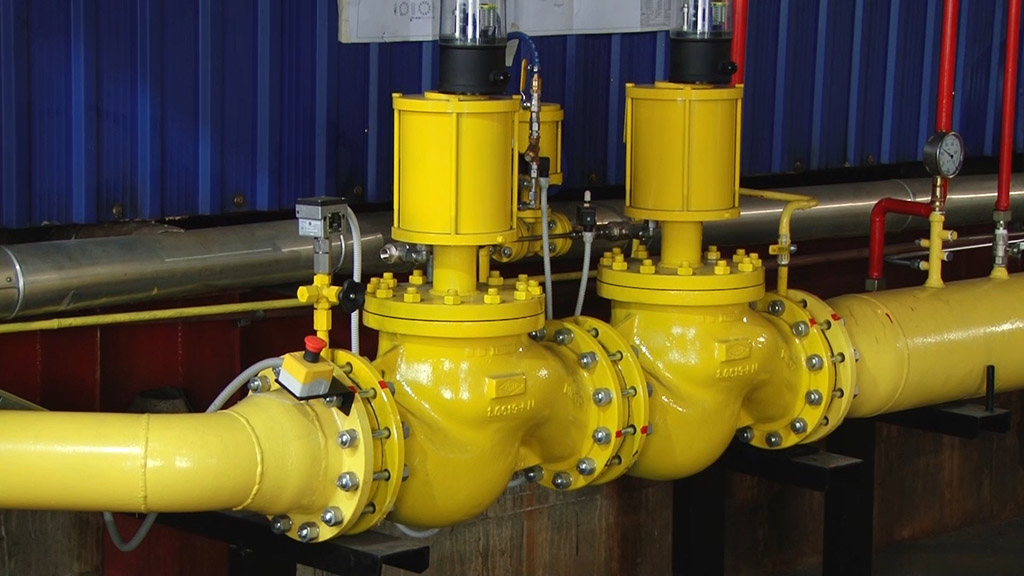 Foto: PrtScr - Televizija Valjevo Plus