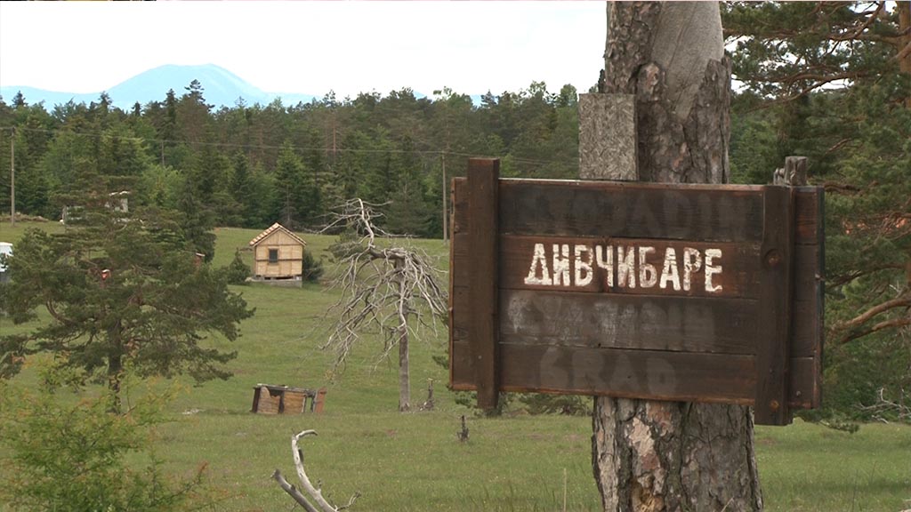 Foto: PrtScr - Televizija Valjevo Plus