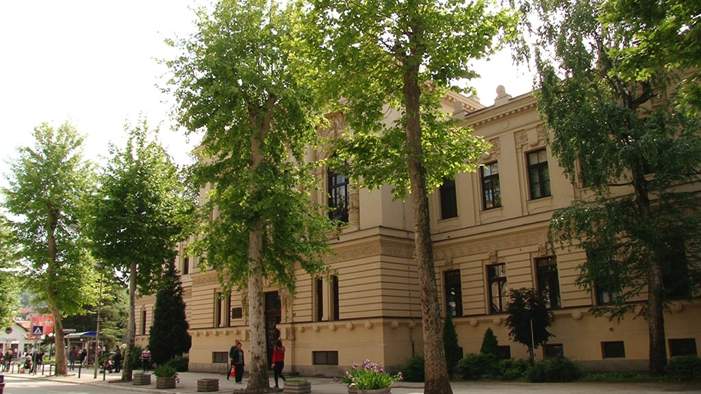 Foto: PrtScr Televizija Valjevo Plus