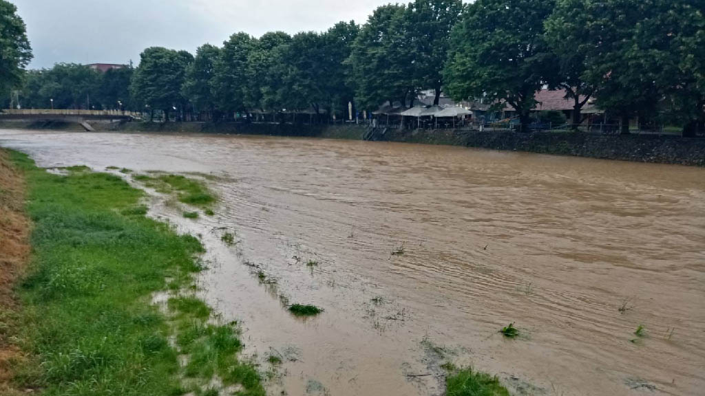 Foto: Privatna arhiva