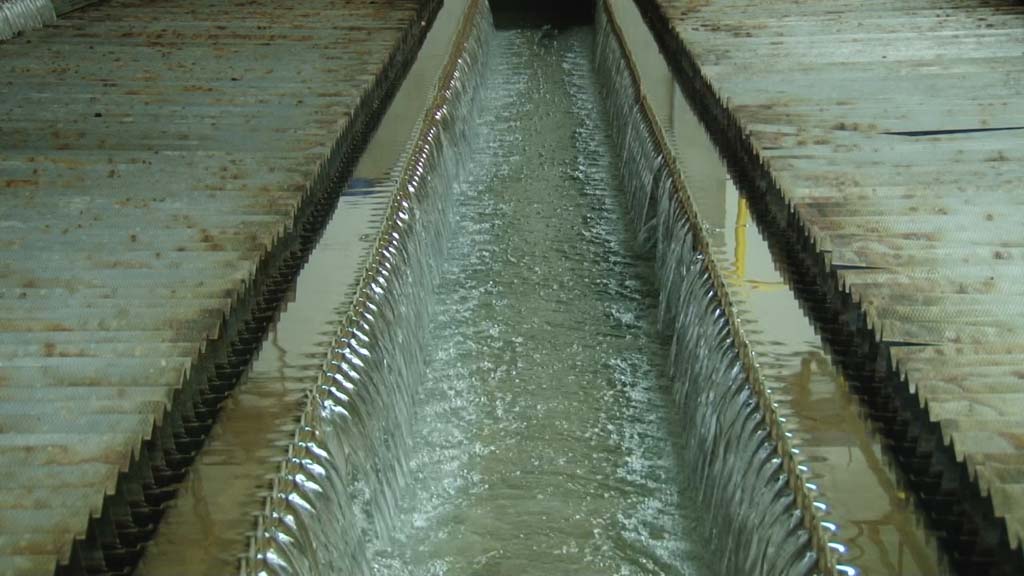 Foto: PrtScr Televizija Valjevo Plus