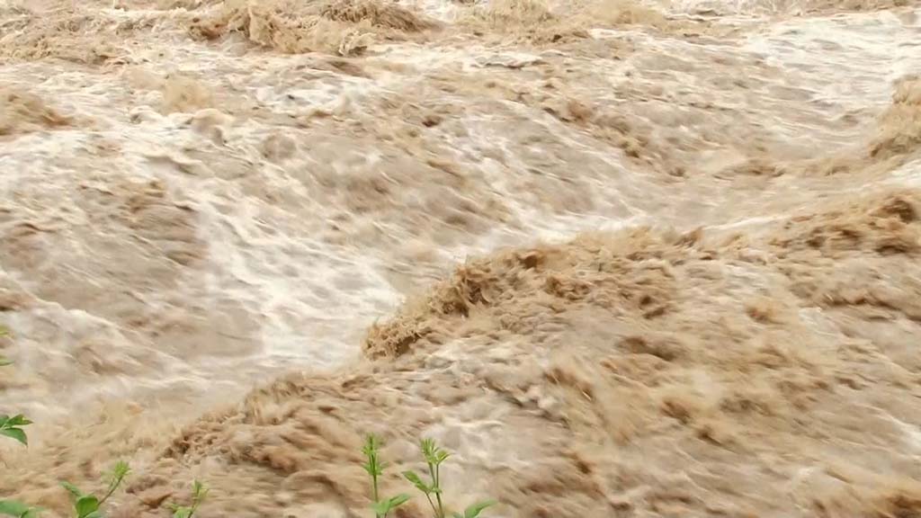 Foto: PrtScr Televizija Valjevo Plus