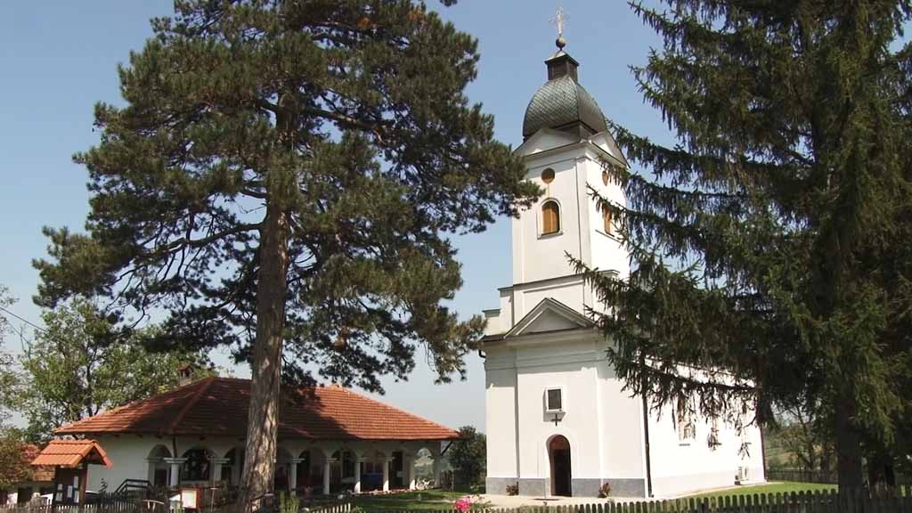 Foto: PrtScr Televizija Valjevo Plus