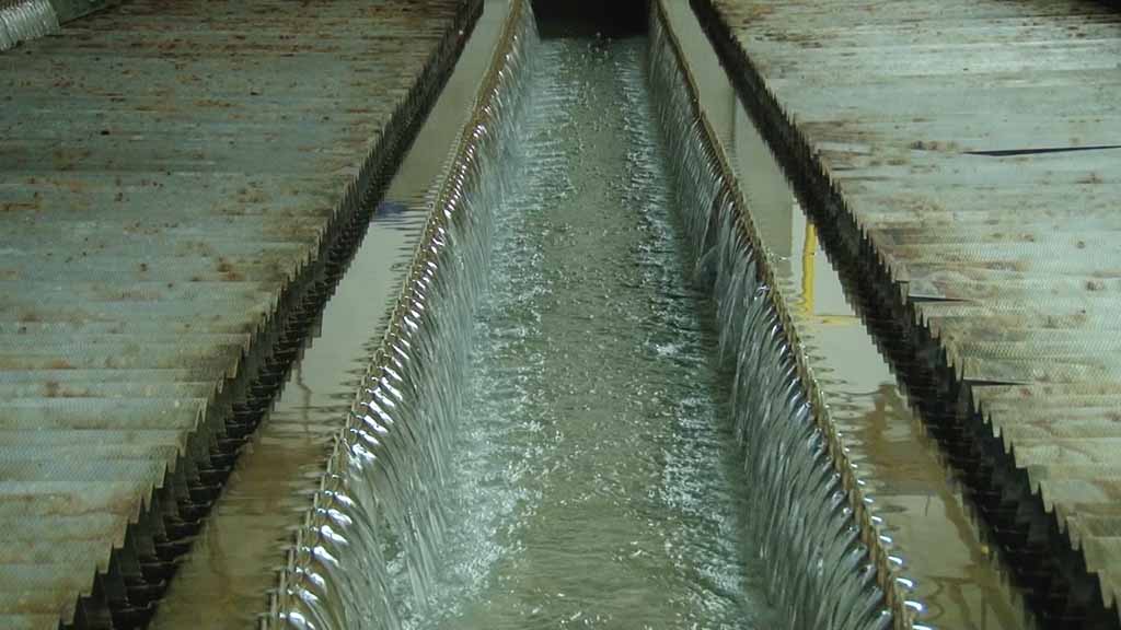 Foto: PrtScr Televizija Valjevo Plus