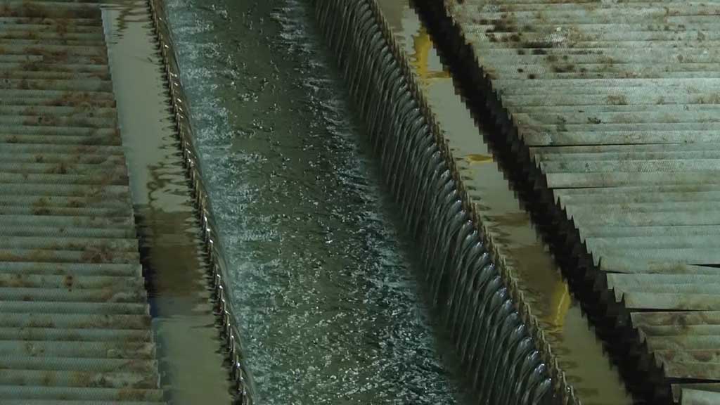 Foto: PrtScr Televizija Valjevo Plus