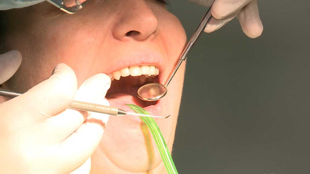 Foto: PrtScr Televizija Valjevo Plus