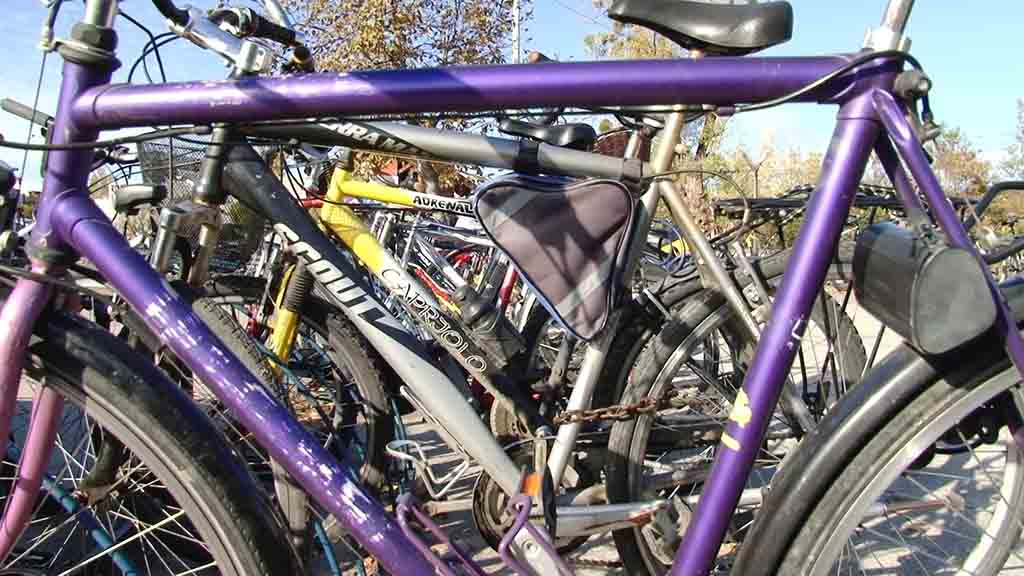 Foto: PrtScr Televizija Valjevo Plus