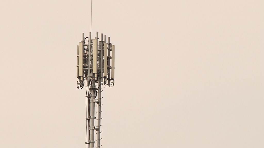 Foto: PrtScr - Televizija Valjevo Plus