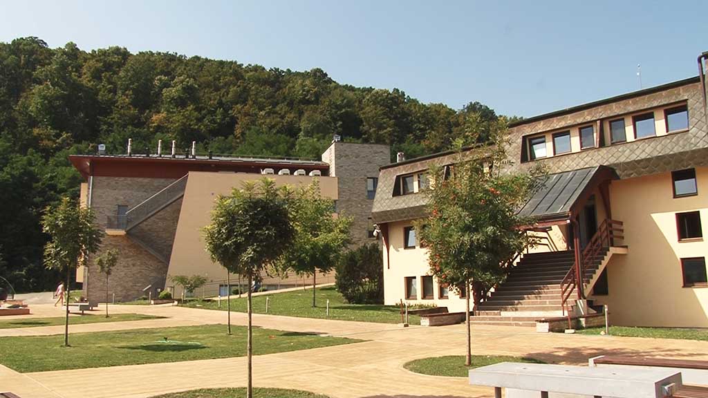 Foto: PrtScr Televizija Valjevo Plus