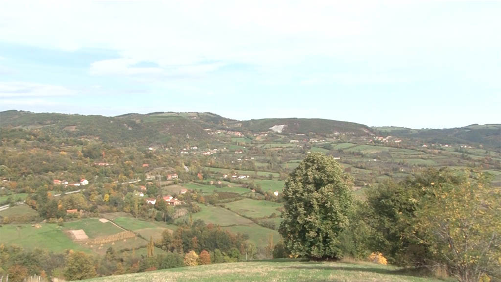 Foto: PrtScr Televizija Valjevo Plus