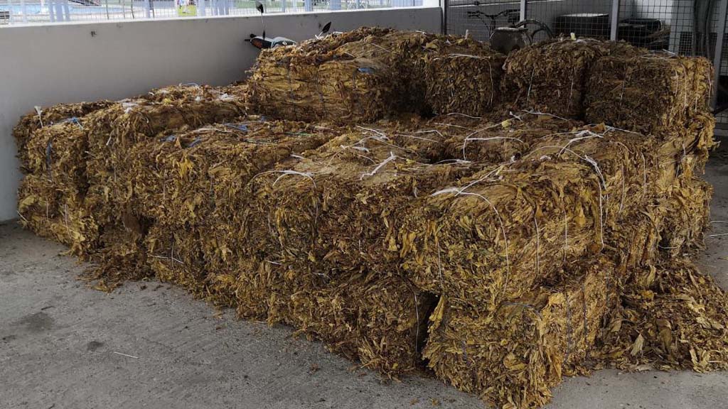 Foto: Privatna arhiva