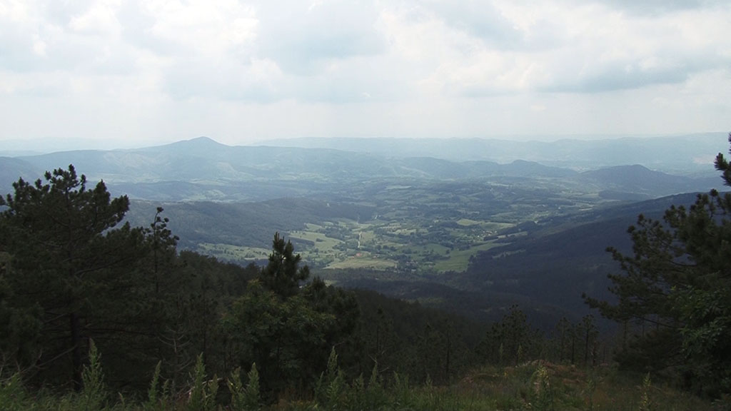 Foto: PrtScr - Televizija Valjevo Plus